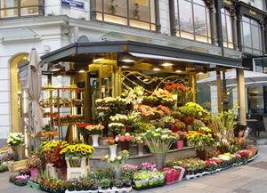 唐山花店爆料案件最新,揭开背后惊人真相  第2张